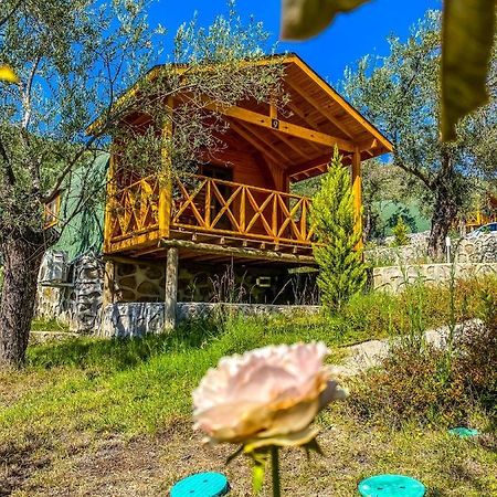 Hotel Kazdaglari Saglikli Yasam Koeyue Edremit  Zewnętrze zdjęcie